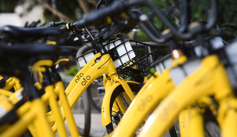 ofo bikes on campus